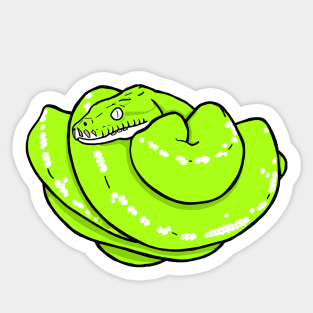 Green Tree Python Snake Sticker